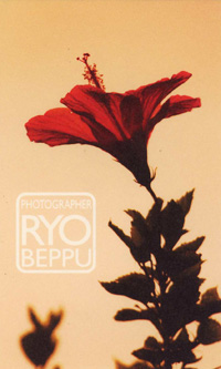 「まんまる奄美」写真展