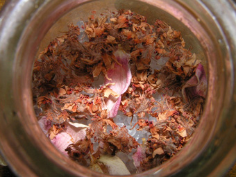 モクゲンジとカリンの花1