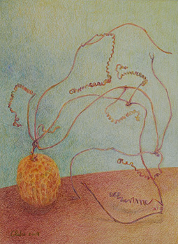 作品：からすうり